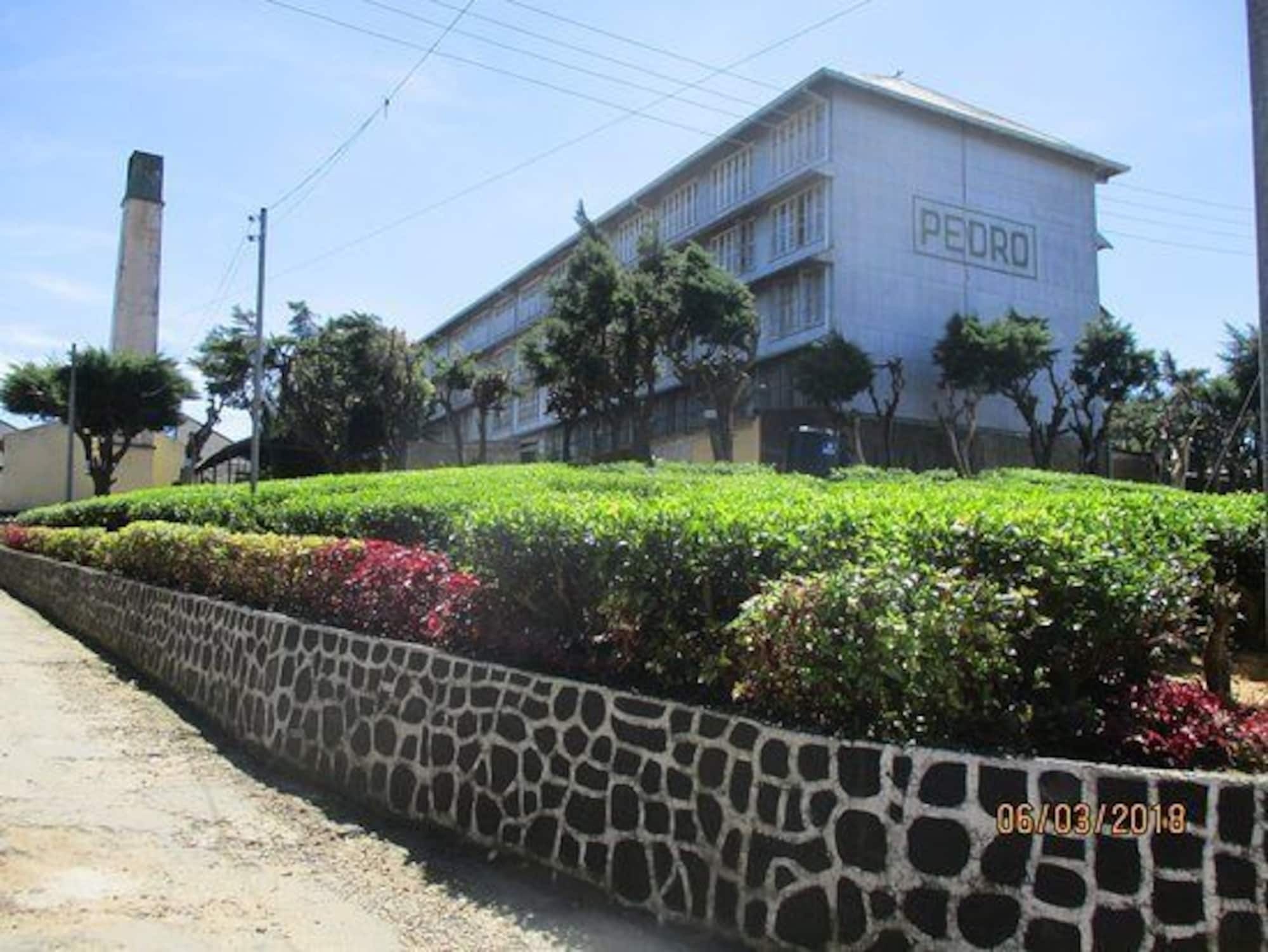 Casablanka Rest Guest House Nanu Oya Ngoại thất bức ảnh